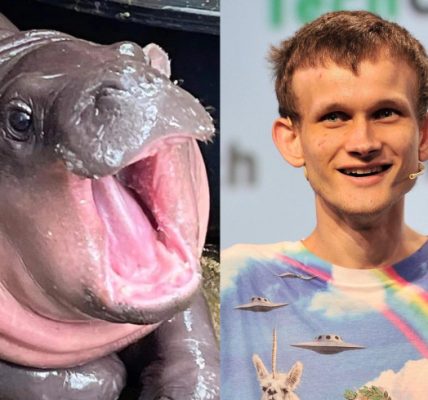 Moo Deng Gets an Adoptive Father — Ethereum Cofounder Vitalik Buterin SEO-Optimized Title