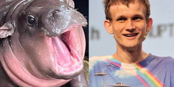 Moo Deng Gets an Adoptive Father — Ethereum Cofounder Vitalik Buterin SEO-Optimized Title