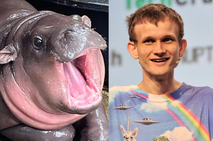 Moo Deng Gets an Adoptive Father — Ethereum Cofounder Vitalik Buterin SEO-Optimized Title